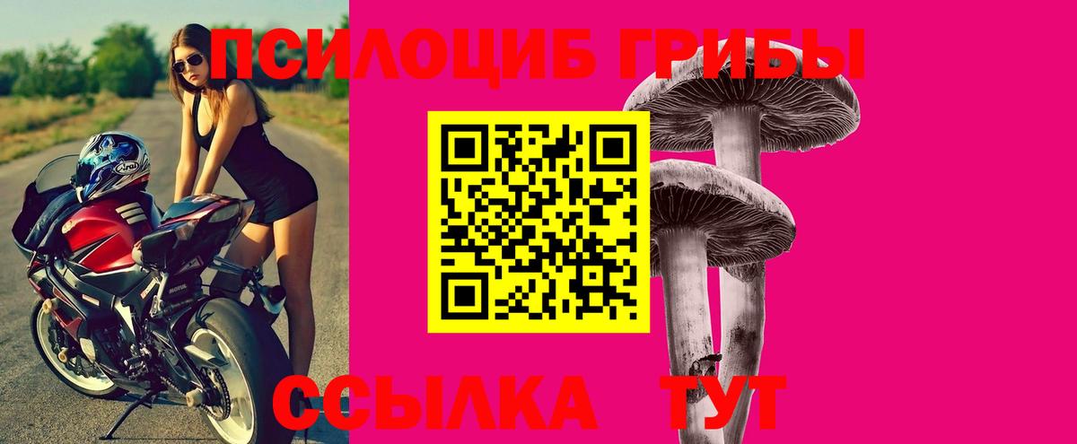 Сергиев Посад  Галлюциногенные грибы GOLDEN TEACHER  Псилоцибиновые грибы Psilocybine cubensis  Вход с VPN 